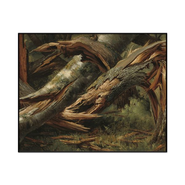 Alexandre Calame Fallen Tree Landscape Set1 Cover0