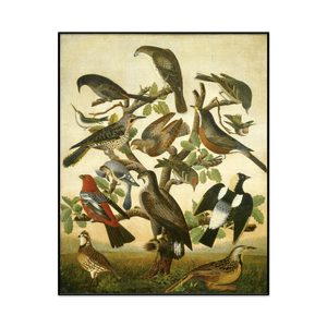 Americanth Century Birds Portrait Set1 Cover0