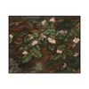 Fidelia Bridges Trailing Arbutus Landscape Set1 Cover0